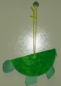 turtle art rachel
