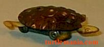 rolling turtle (picture 633)