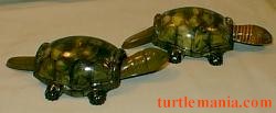 two turtles (picture 635)