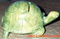 turtle picture 18