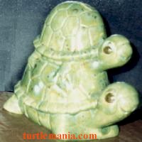 turtle picture 23