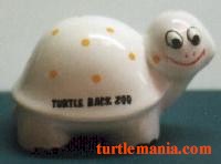 turtle picture 37