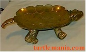 turtle picture 63